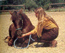 BHA - liggen op commando - http://www.horsemanship.org/grondwerk/liggen.html